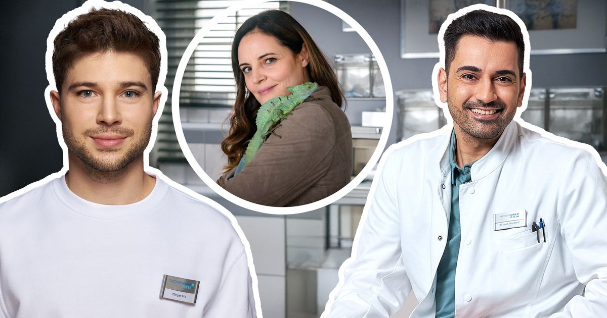 In aller Freundschaft-Fans sind überrascht: Diese zwei Serien-Lieblinge wechseln jetzt die Serie!