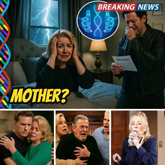 Privacy Policy – Daily News