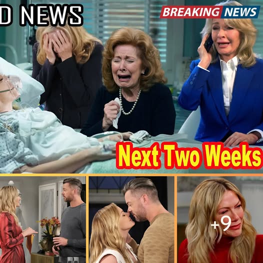 Days of Our Lives Spoilers Next 2 Weeks: November 17 to 28, 2025 /DOOL Next Two Weeks
